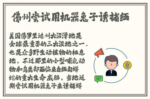 zero动漫网站